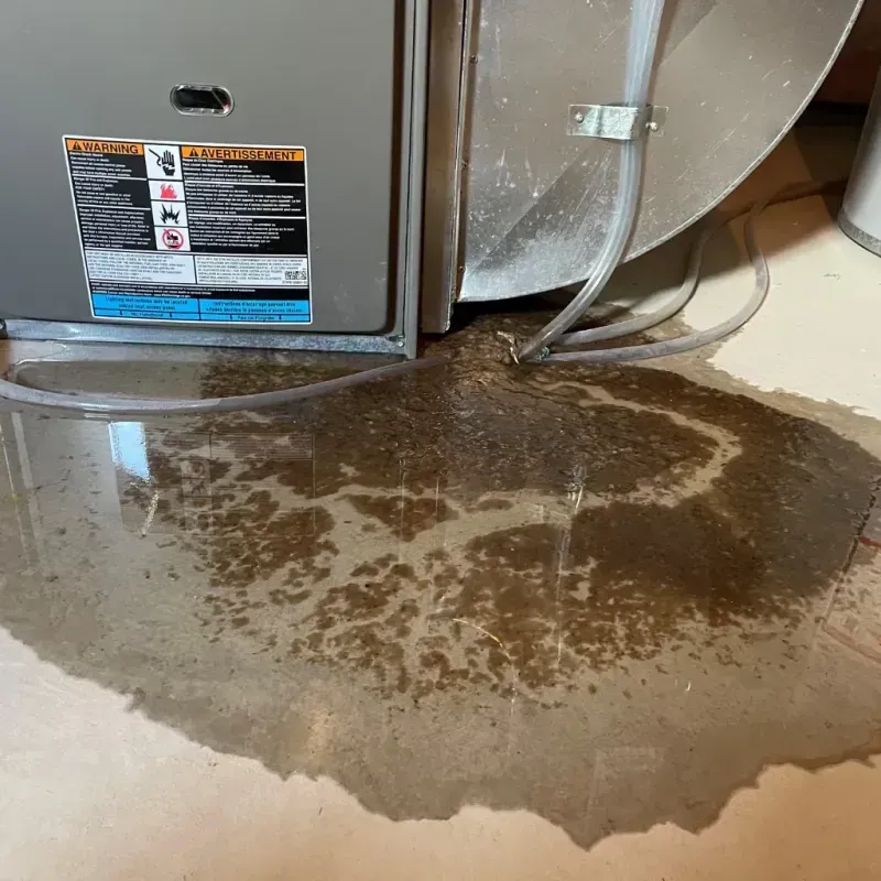 Appliance Leak Cleanup in Okolona, KY